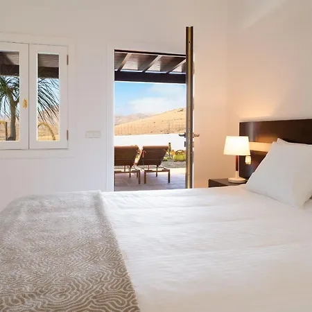 Agave // Cardon Villa Puerto Calero