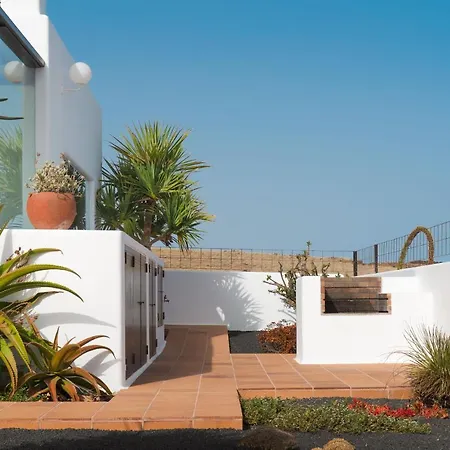 Agave // Cardon Villa Puerto Calero