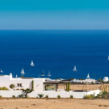 Agave // Cardon Puerto Calero