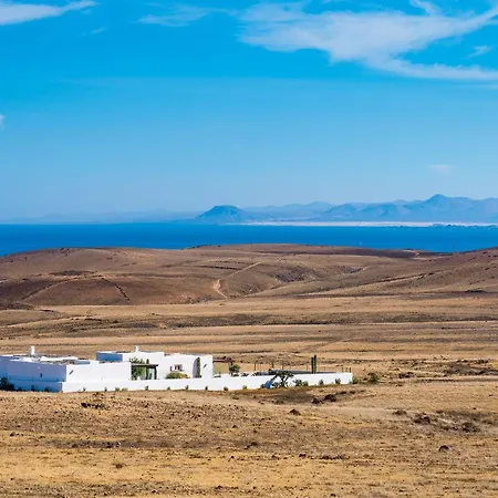 Agave // Cardon * Puerto Calero