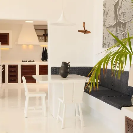 Villa Agave // Cardon *