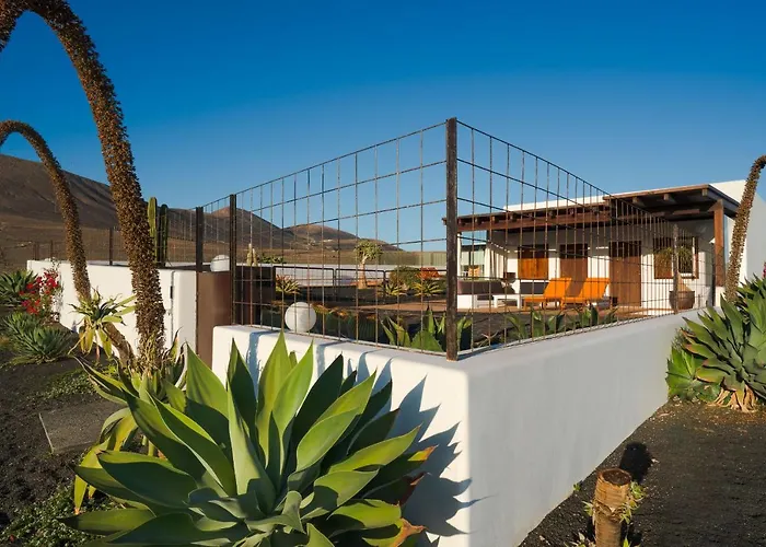 Agave // Cardon Villa *