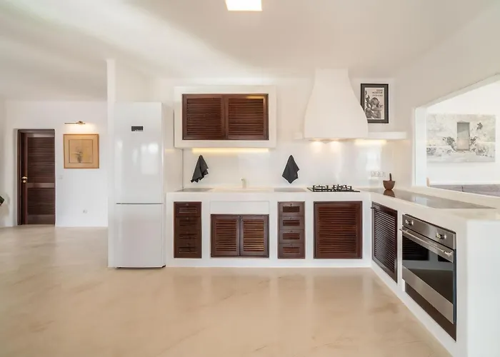 Agave // Cardon Villa Puerto Calero