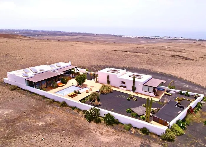 Agave // Cardon Puerto Calero