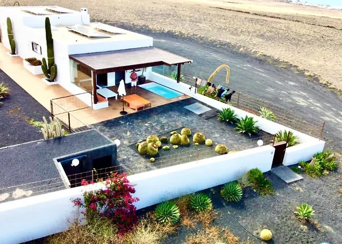 Villa Agave // Cardon *