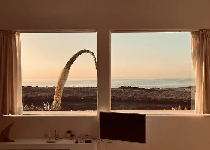 Villa Agave // Cardon *