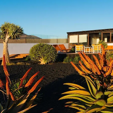 Willa Agave // Cardon *