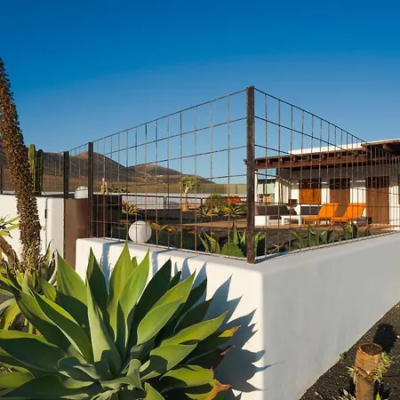 Agave // Cardon Willa *