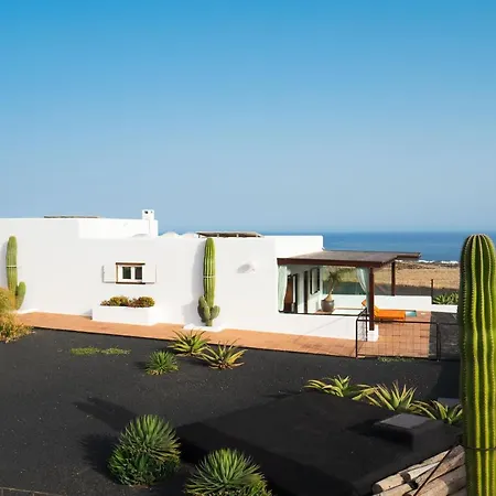 Willa Agave // Cardon Puerto Calero