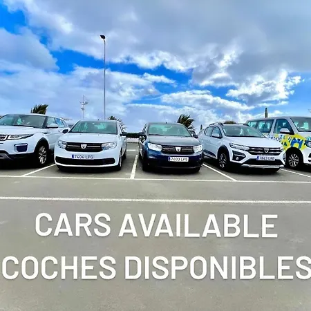 Agave // Cardon Willa *