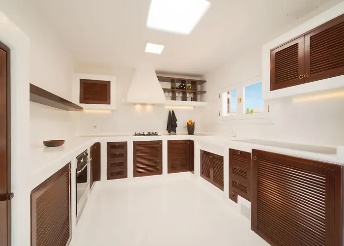 Villa Agave // Cardon