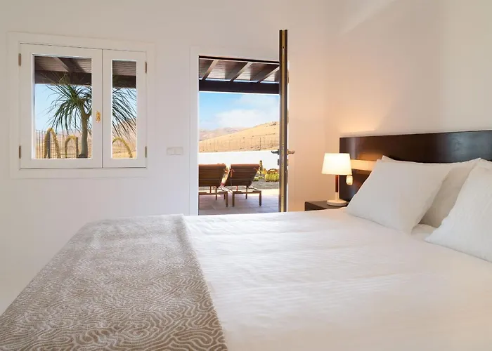 Agave // Cardon Villa Puerto Calero