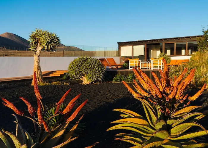 Villa Agave // Cardon *