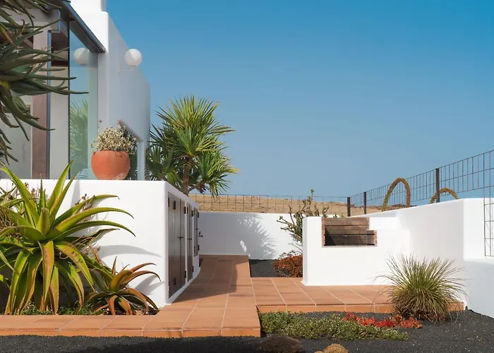 Agave // Cardon Willa Puerto Calero