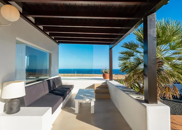 Willa Agave // Cardon Puerto Calero