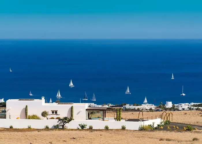 Agave // Cardon Puerto Calero