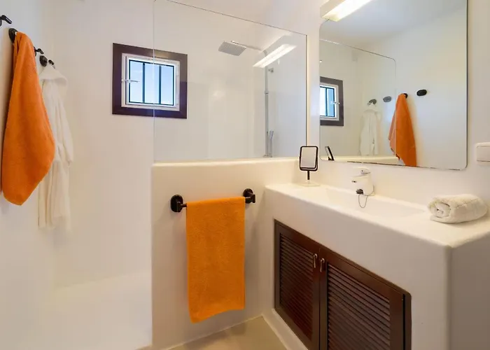 Agave // Cardon * Puerto Calero