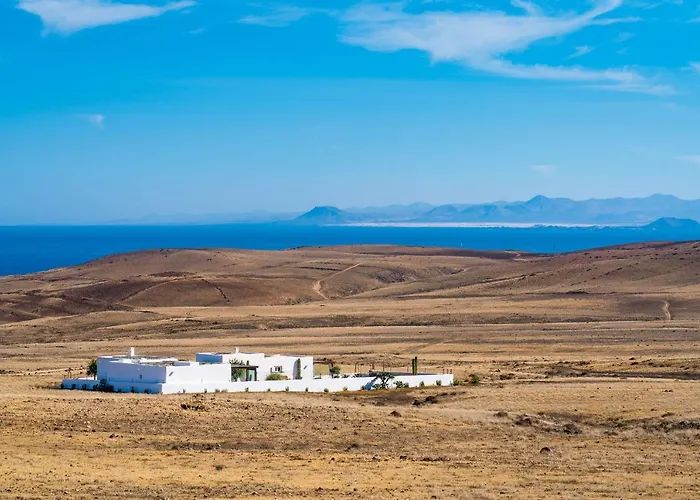 Agave // Cardon * Puerto Calero