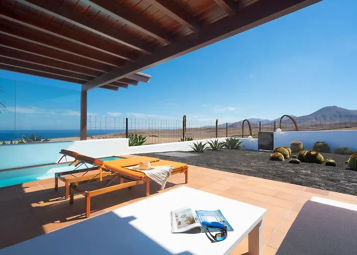 Agave // Cardon Willa Puerto Calero