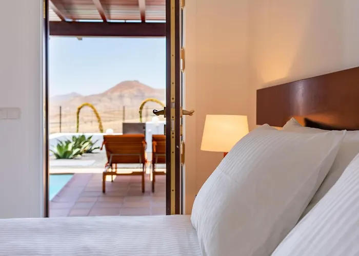 Agave // Cardon Villa Puerto Calero