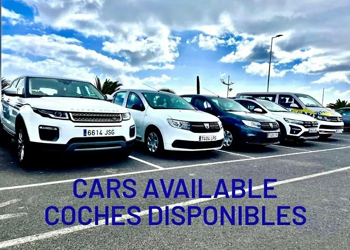 Agave // Cardon Willa