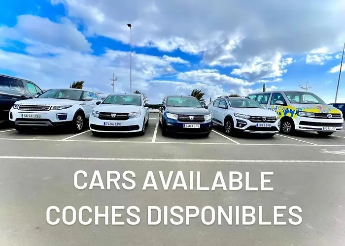 Agave // Cardon Willa *